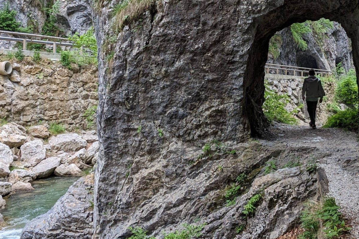 Dovzan gorge at Trzic
